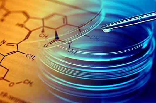 Chemical Company - parameters optimization